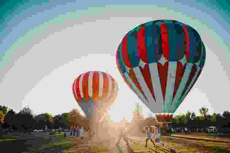 hot air balloons in a field