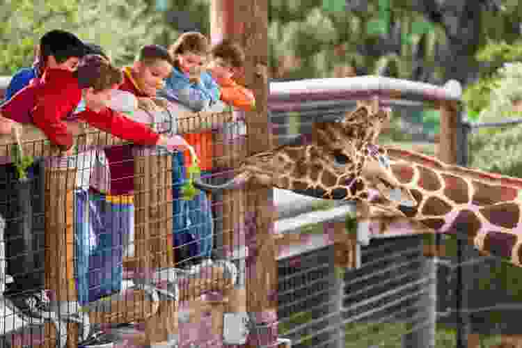 kids at the zoo