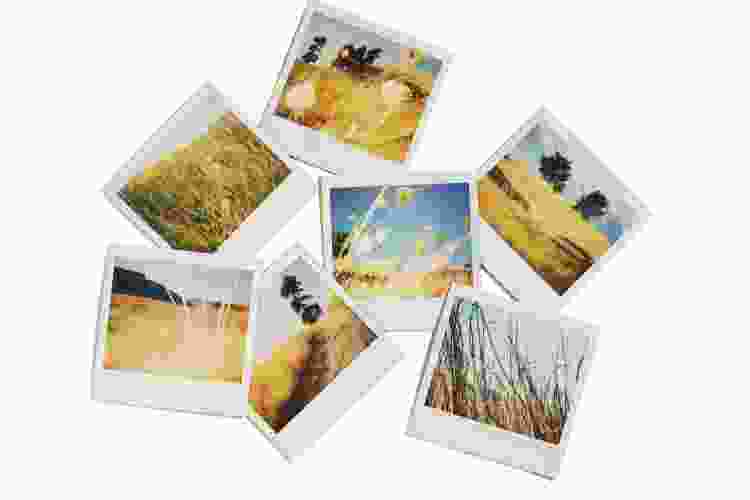 scattered polaroids with photos of wildflower prairie at sunset