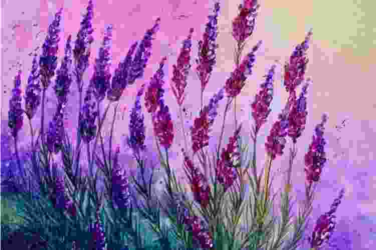 lavender field flower painting idea