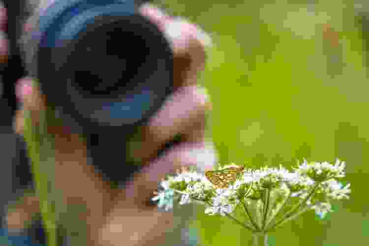 macro lens for flower photography