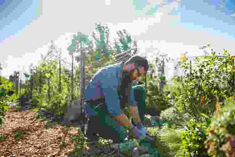 Man in a garden doing some farming