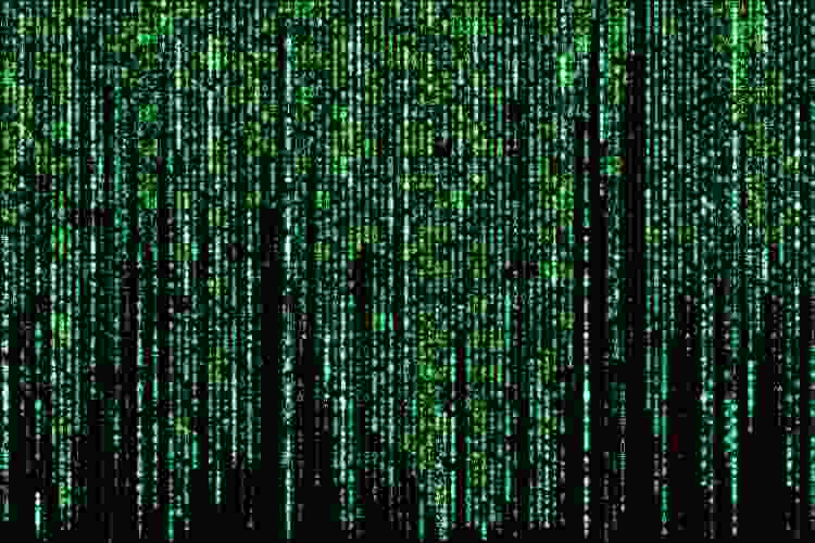 the matrix green numbers