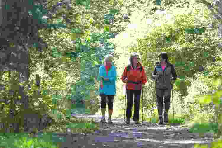 hiking national park unique mother's day gift idea