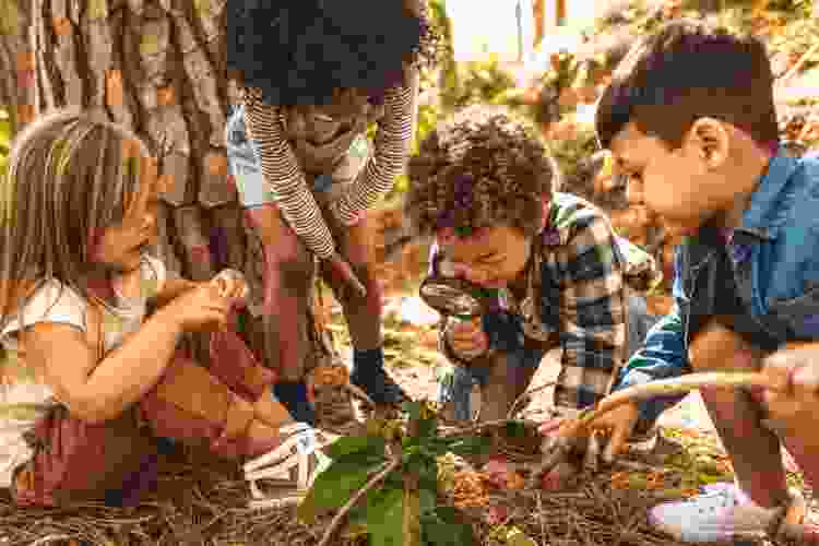 Let kids play Outdoor Biologist with this educational game. 