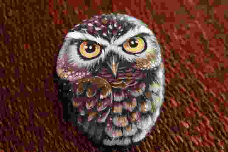 owl rock painting idea