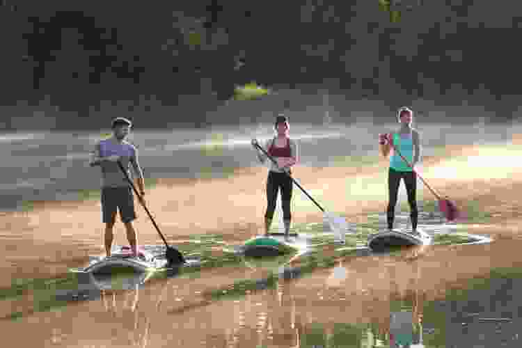 group of paddleboarders at sunrise