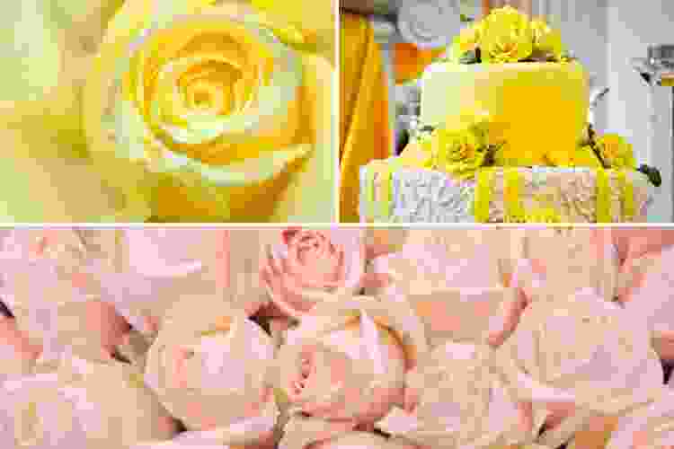 Pale Yellow & Soft Pink is a great spring wedding color combination.