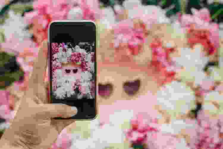 photographer taking photo of sunglasses surrounded by flowers