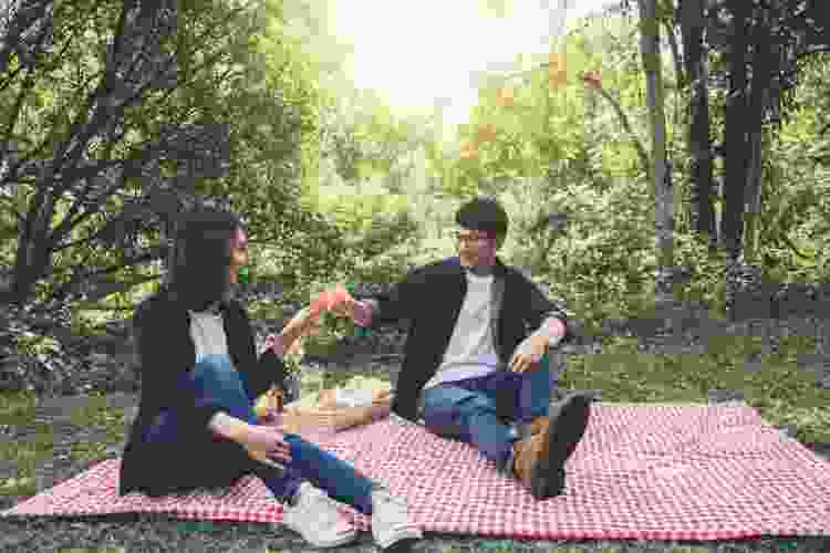 couple on blanket cheers wine at sunset picnic