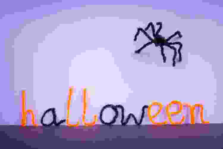 pipe cleaner spider Halloween decoration idea for school