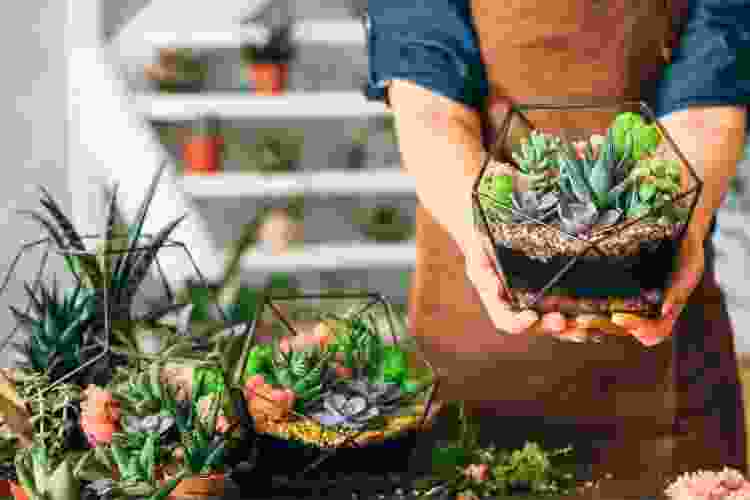 hands holding handmade terrarium with succulents