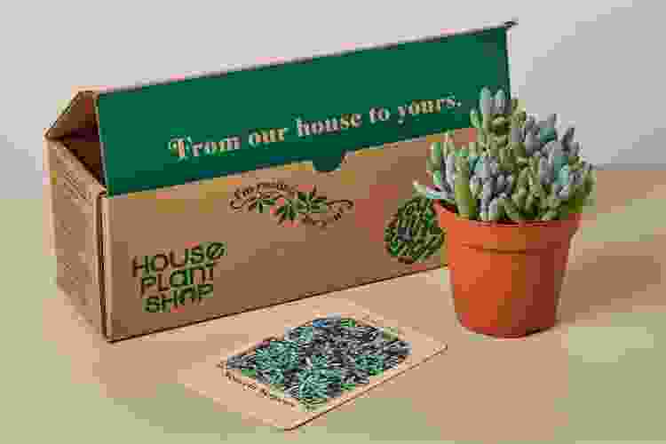 plant subscription gift for millennials