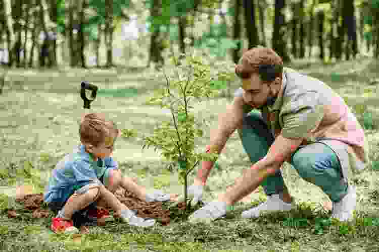 father and child planting a tree together