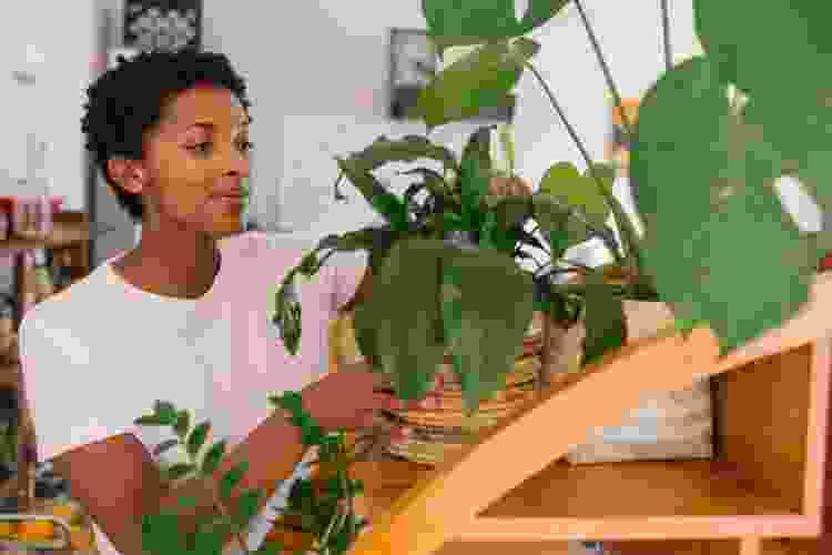 woman assembling plants at home