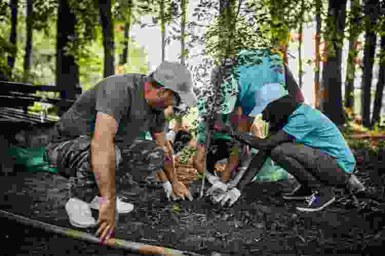 team planting trees together