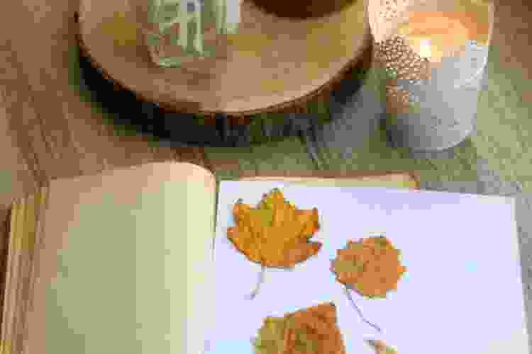 pressed fall leaves in book next to candle