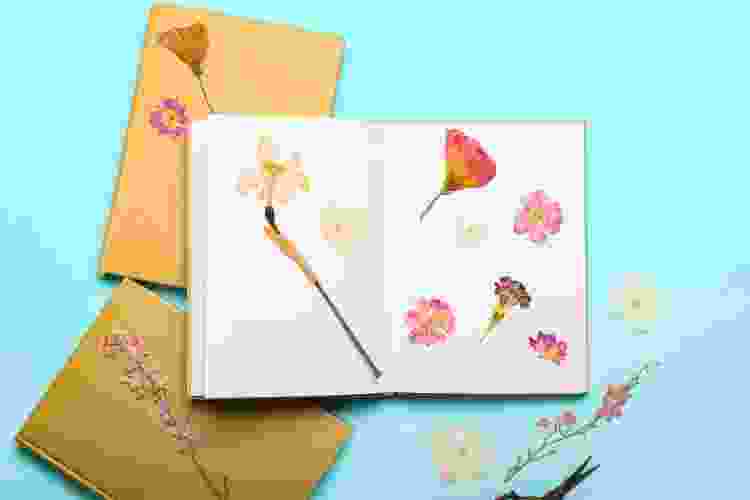 making cards out of pressed dried flowers as a Valentine's Day craft idea