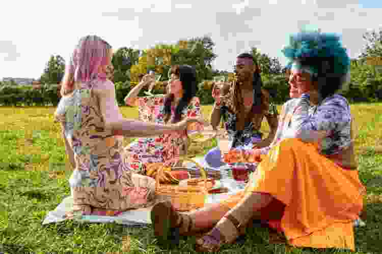 pride picnic idea