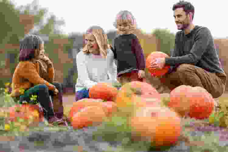 family posing in pumpkin patch