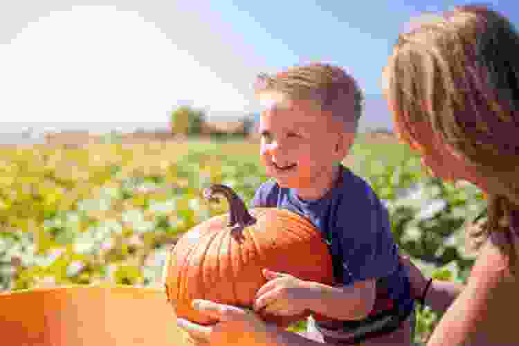 toddler and mother playing in pumpkin patch
