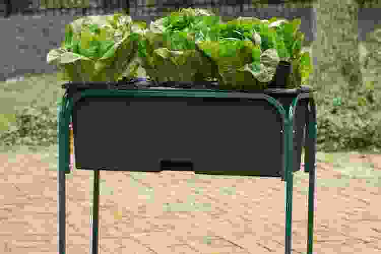 raised-garden-box-kit