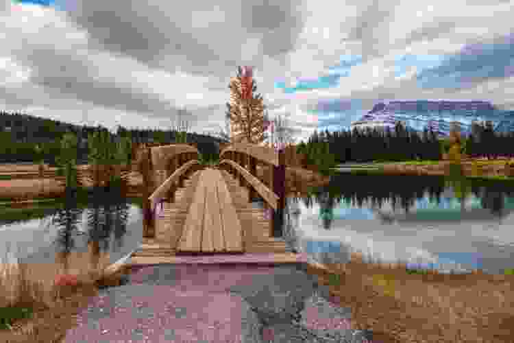 pond and brige in Rundle Park