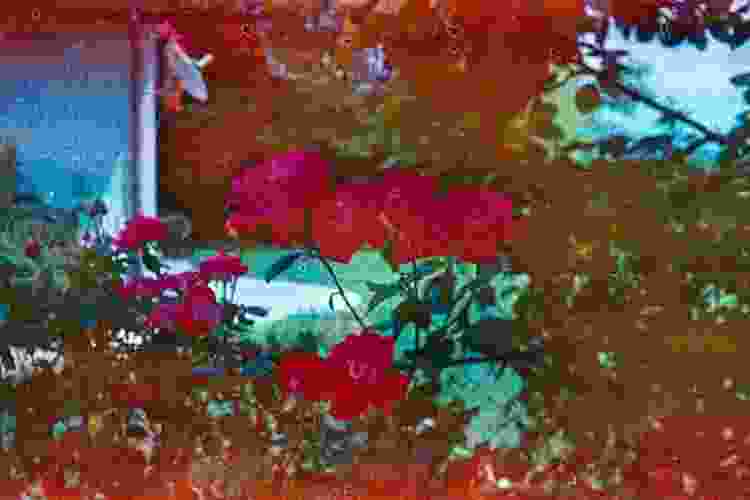 Shot on expired film