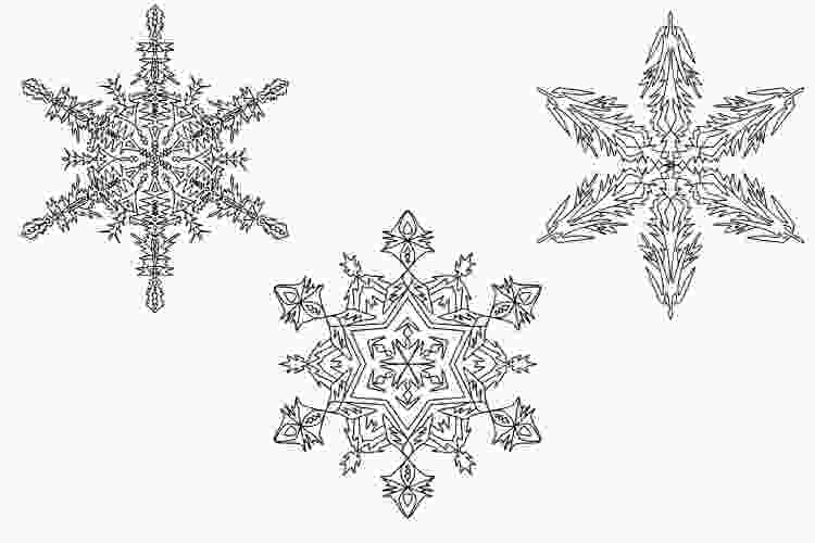 Snowflakes doodle