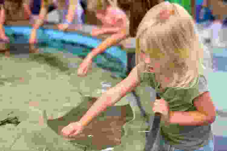 child petting stingray at aquarium