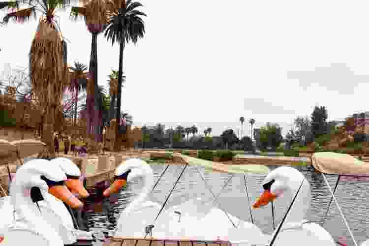 echo park swan boats in Los Angeles