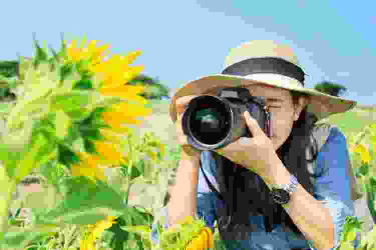 young woman taking photograph of sunflowers with DSLR camera