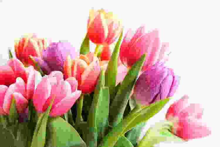 For spring wedding color ideas decorate with Tulips.