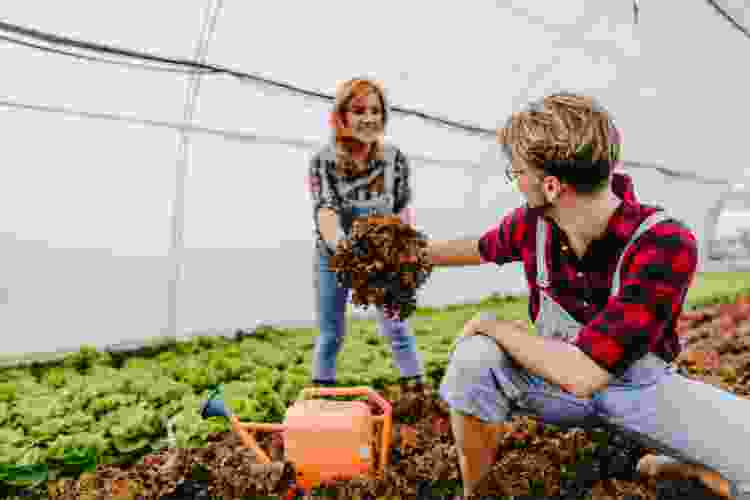 couple planting in greenhouse