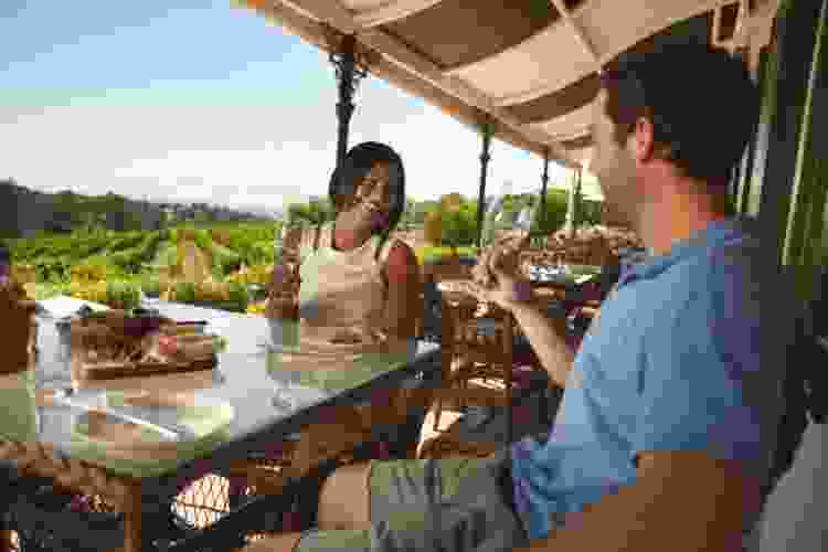 couple drinking wine at vineyard