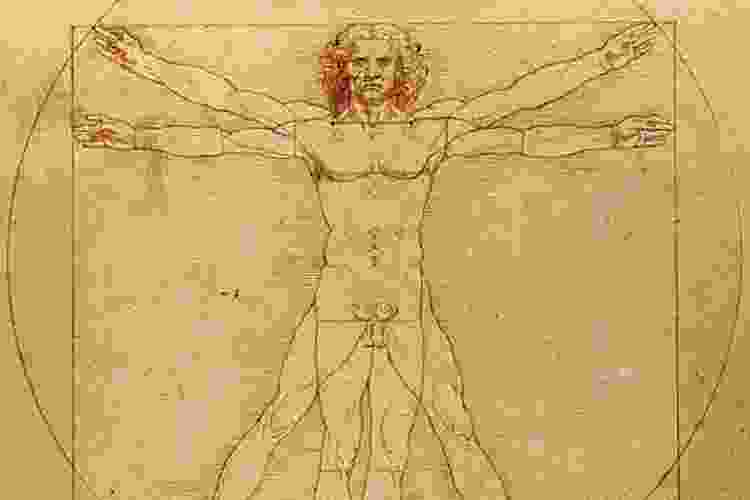 Vitruvian man da vinci painting