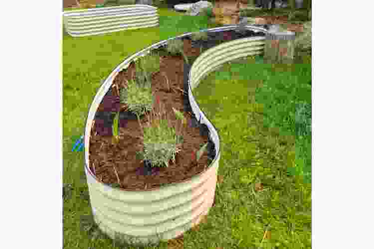 white crescent curved