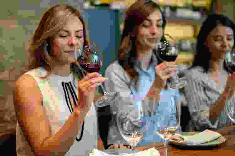 wine tasting indoor birthday party idea