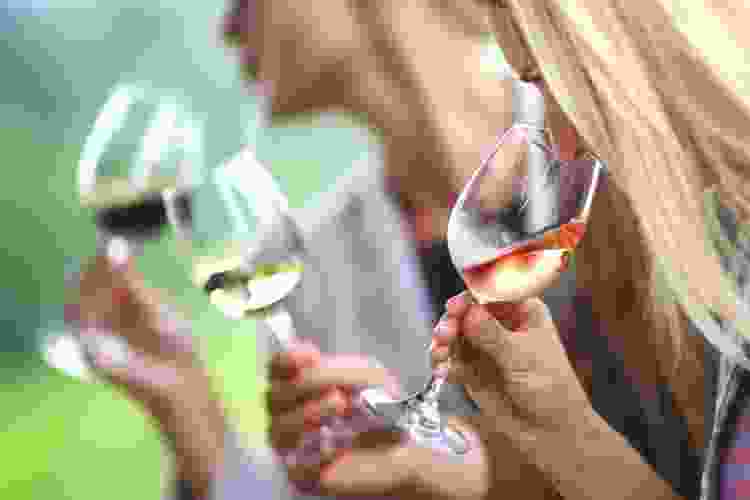 virtual wine tasting rosé party activity