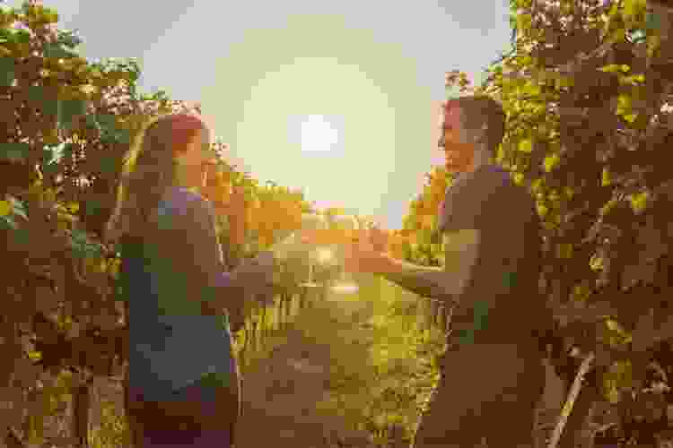 couple drinking wine at vineyard