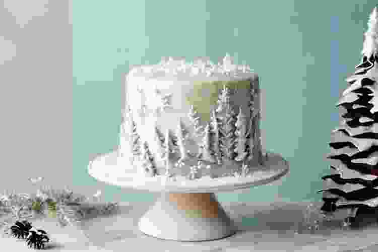 A winter Christmas cake idea is to make it winter wonderland themed.