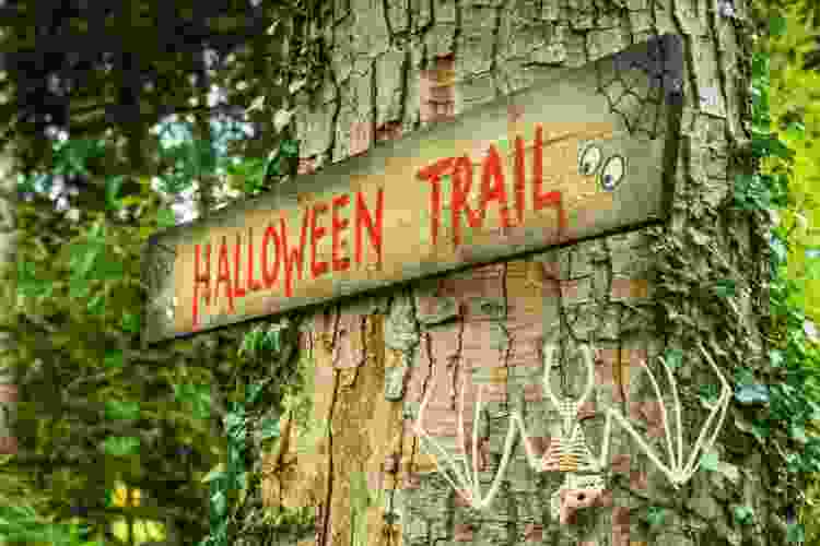 haunted trail wooden sign DIY Halloween décor craft