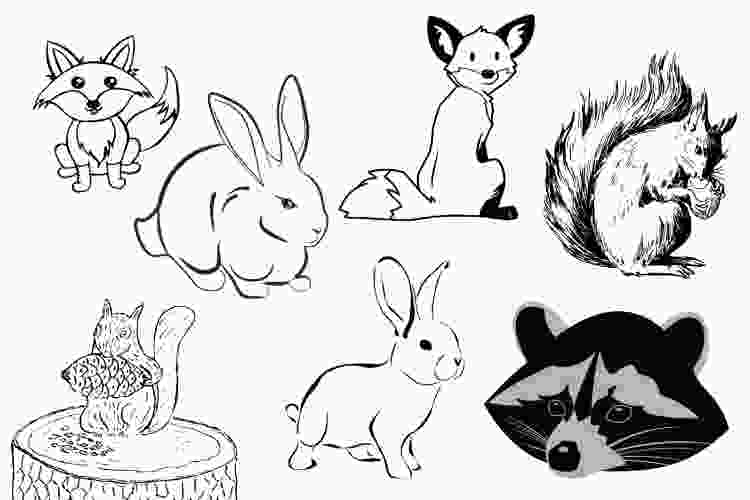 Woodland creatures doodle