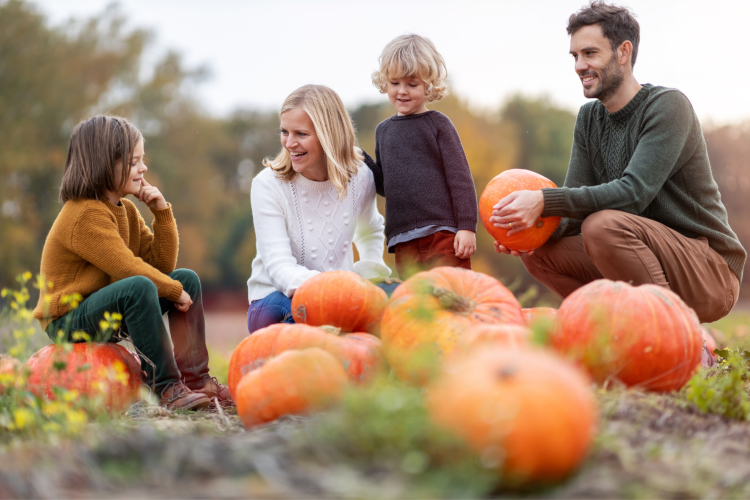 pumpkin patch with family