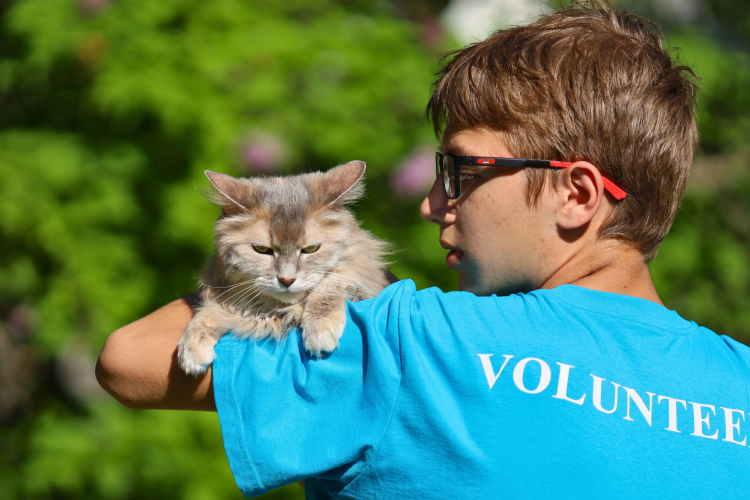 cat volunteer