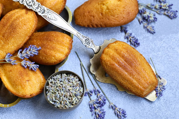 madeleines