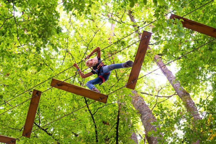 treetop adventure