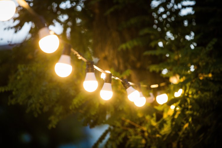 string lights small garden ideas