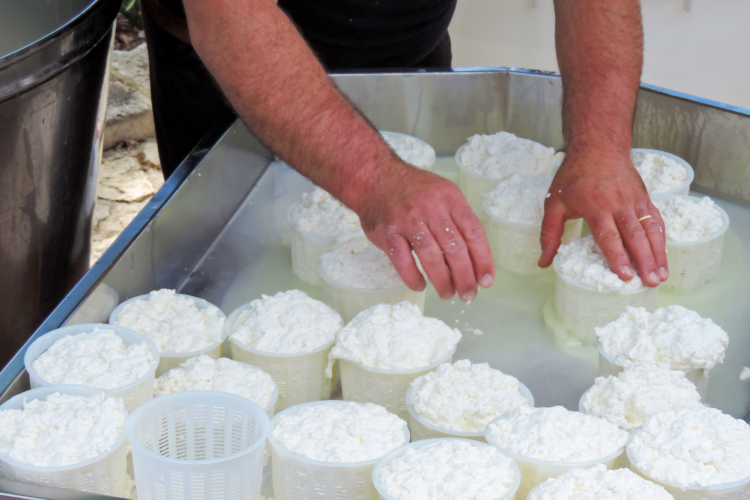 Making Ricotta cheese