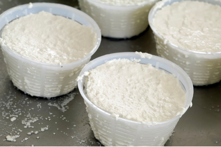 Ricotta Cheese Baskets